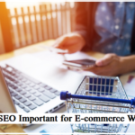 Why is SEO Important for E-commerce Websites?